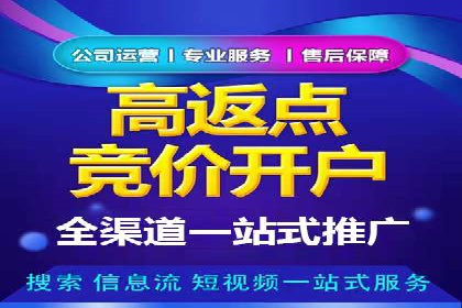 百度竞价个人账户开户案例：创意广告策略助力业务发展